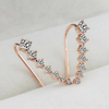 Jewelance™ ClipEarrings 1+1 GRATIS: Lange Elegante Klips Øreringe I Gaveæske