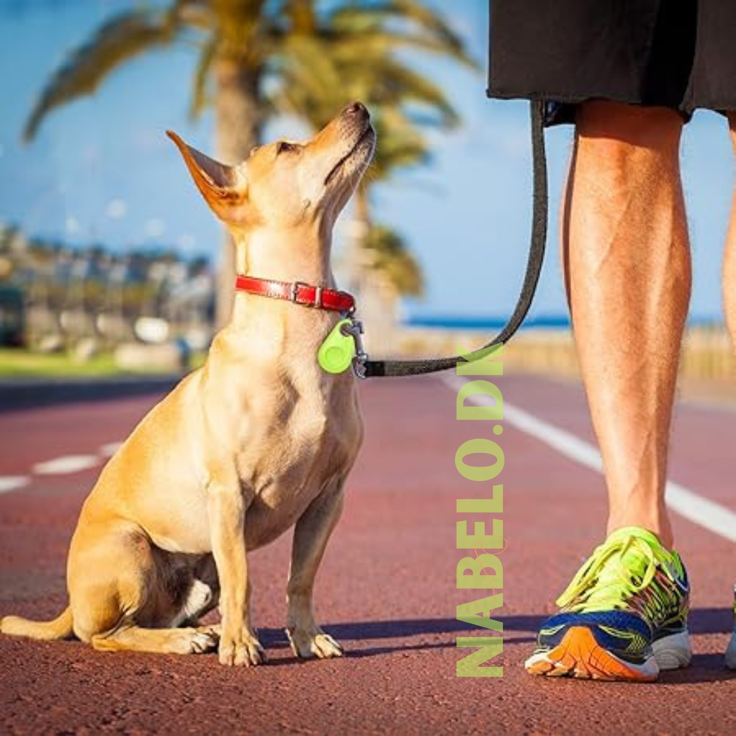 DogCatFri™ PetTracker - Bluetooth Kæledyr Trådløs Tracker