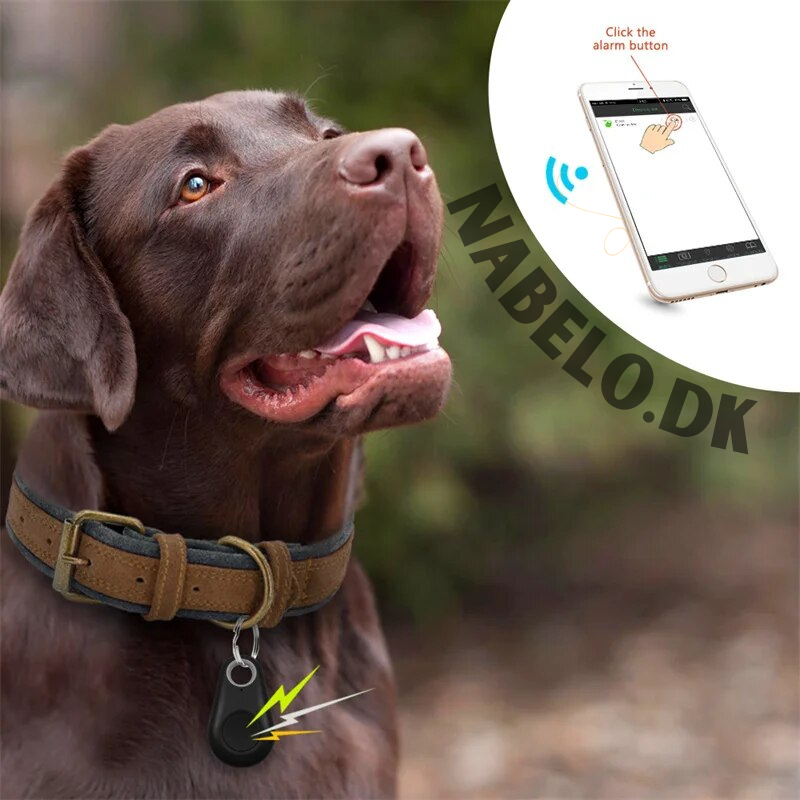 DogCatFri™ PetTracker - Bluetooth Kæledyr Trådløs Tracker