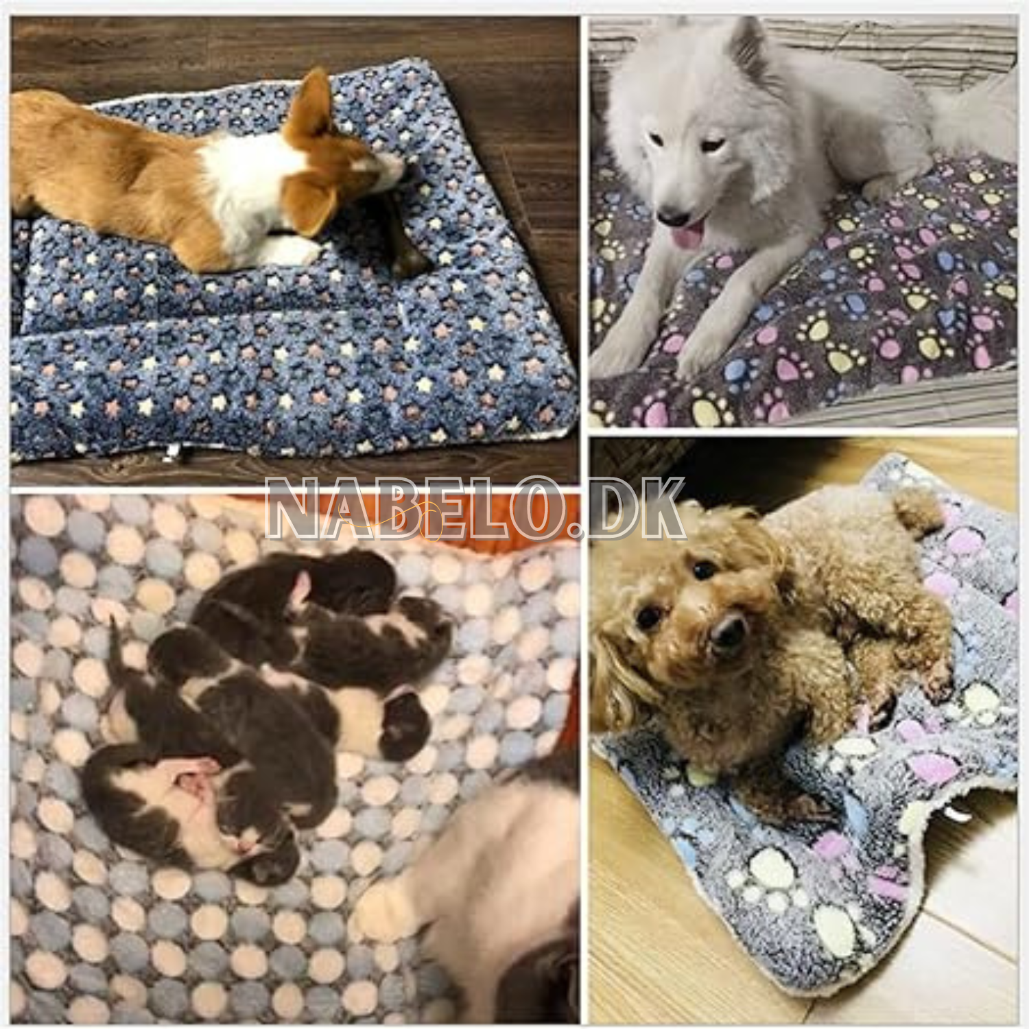 DogCatFri™ PetBlanket- Hyggelig Kæledyrs Komfort Tæppe