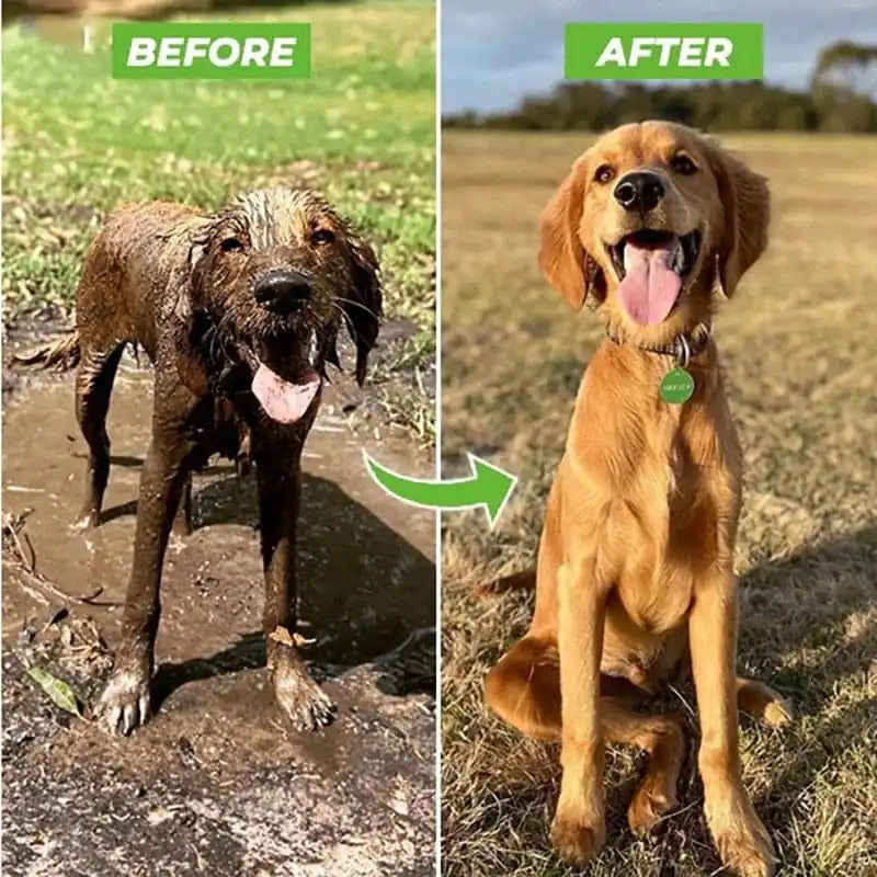 DogCatFri™ PetShower: IIndbygget Shampoo-Vandslange