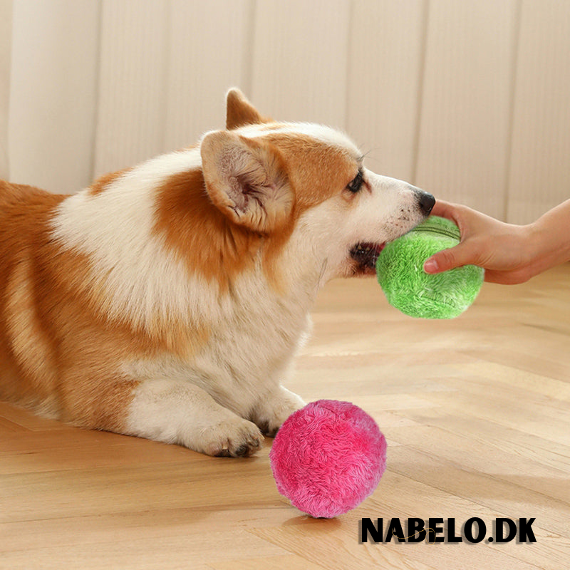 DogFri™ ActiveBall - Automatisk Rullende Kugle Mod Angst