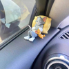CarCharm 1+1 GRATIS: Tom Og Jerry Legesyg Dashboard Ornament