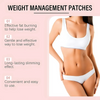 WellnessPatch - Daglig Wellness Naturlige Metaboliske Balance Plastre