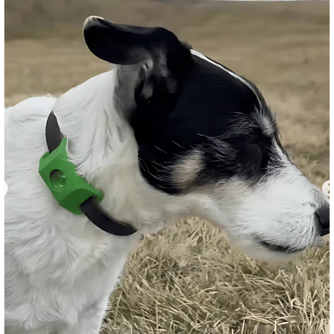 DogCatFri™ Anti-FleaPendant 1+1 GRATIS: Anti-Flåt- Og Loppe-Vedhæng Beskyttelse