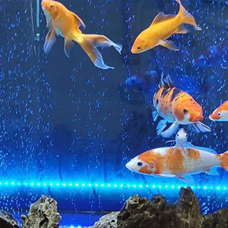 Ledsen™ GlowBubble: LED-Akvarium Farverigt Glød Boble Lys
