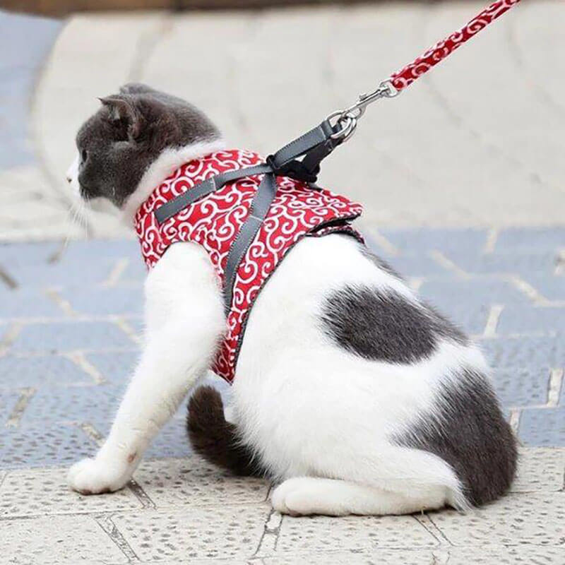 DogCatFri™ Leash - Anti-Break Away Vest Sele og Snor Sæt