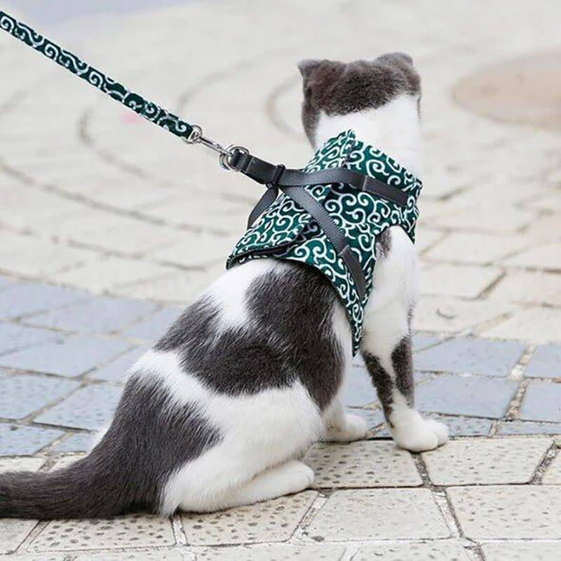 DogCatFri™ Leash - Anti-Break Away Vest Sele og Snor Sæt